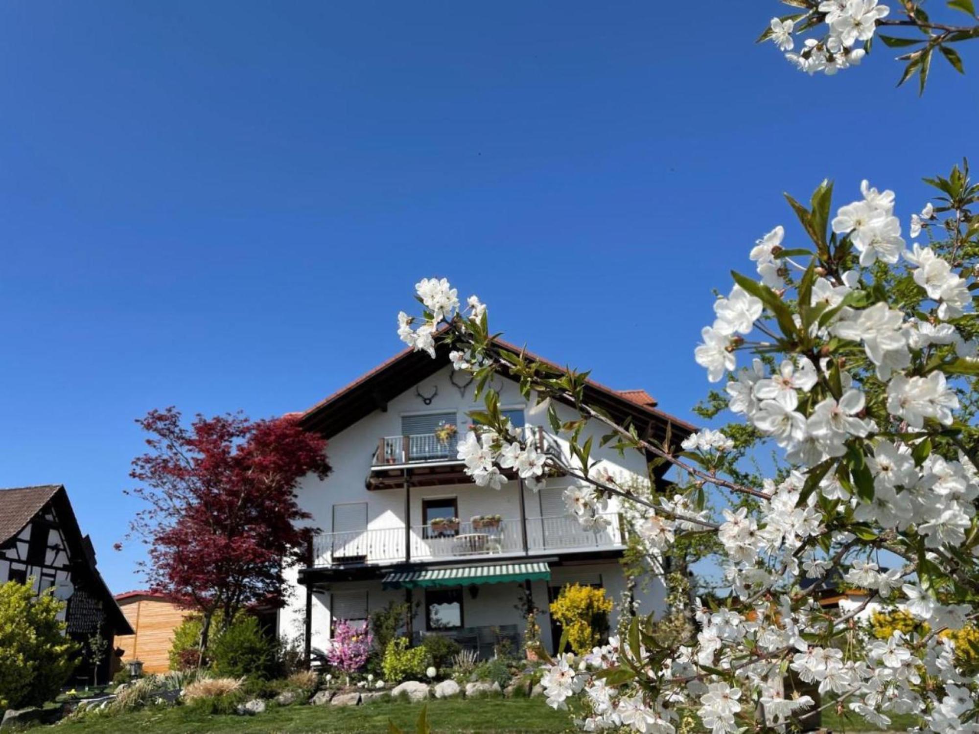 Bergchalet Mirabell - Hofgut Friedrichshafen Ngoại thất bức ảnh