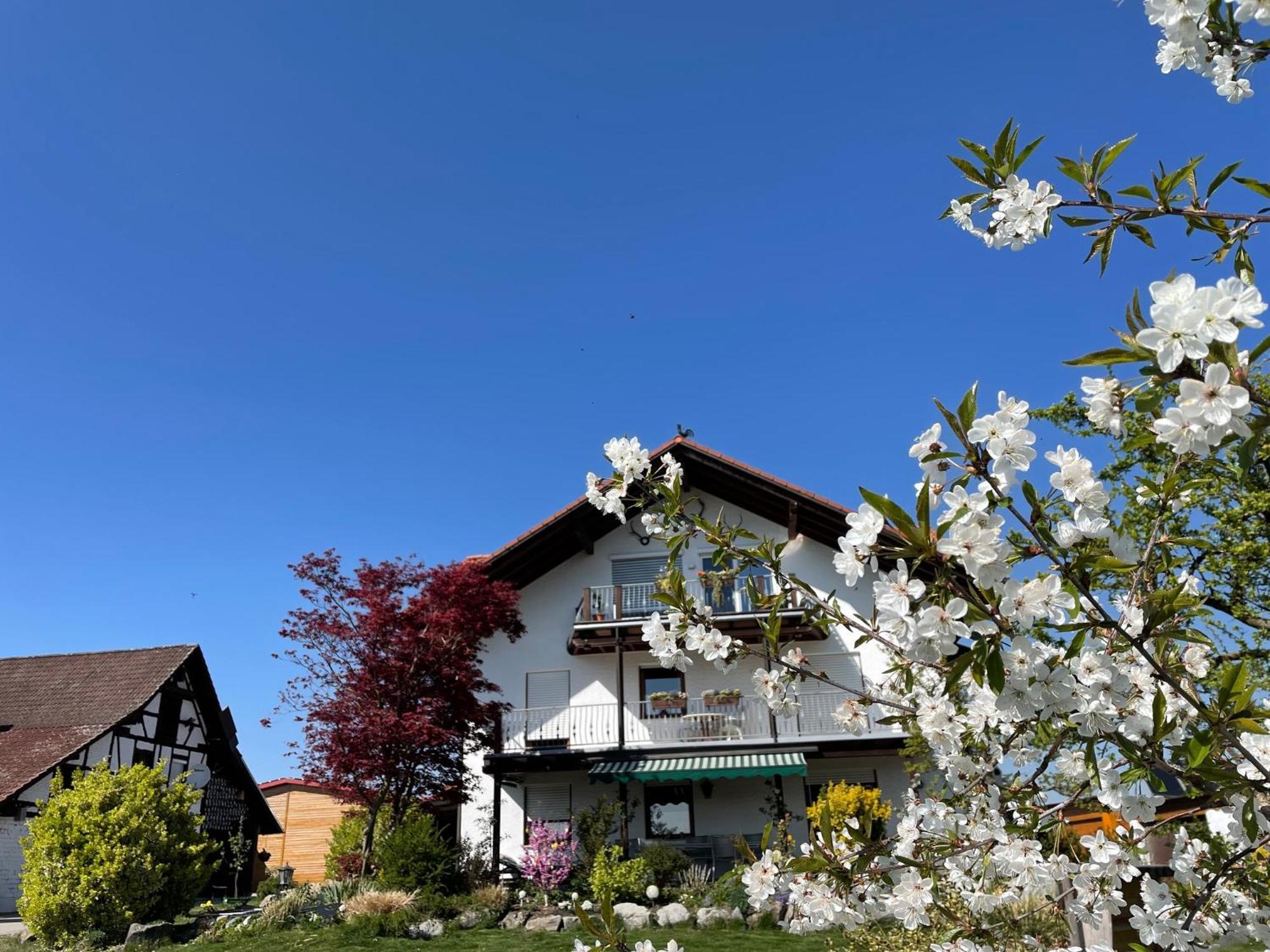 Bergchalet Mirabell - Hofgut Friedrichshafen Ngoại thất bức ảnh