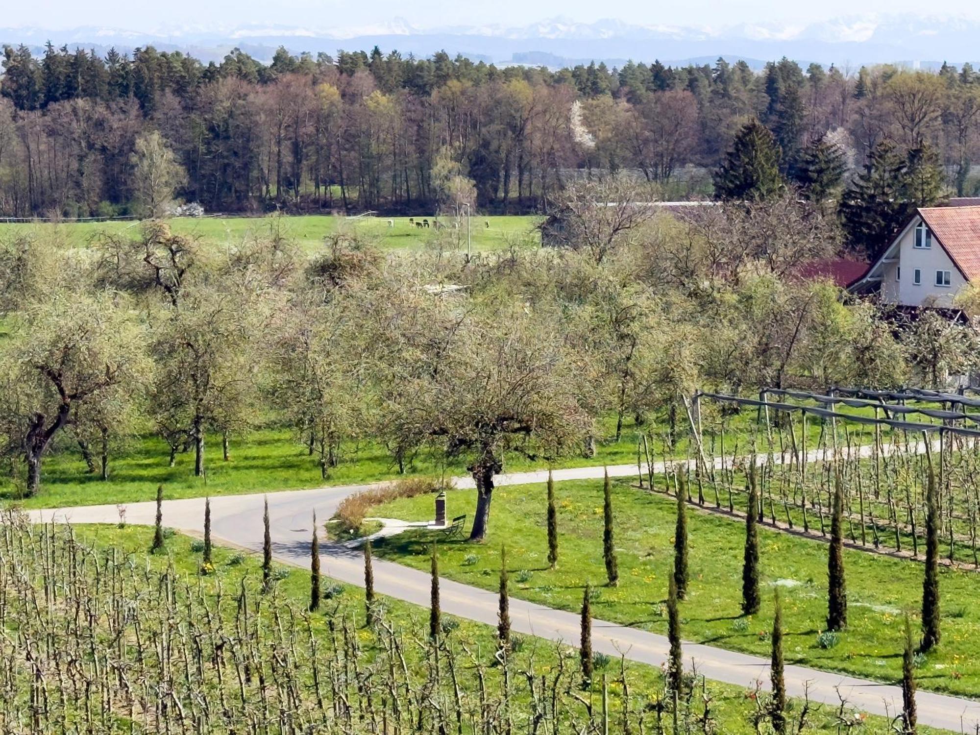 Bergchalet Mirabell - Hofgut Friedrichshafen Ngoại thất bức ảnh