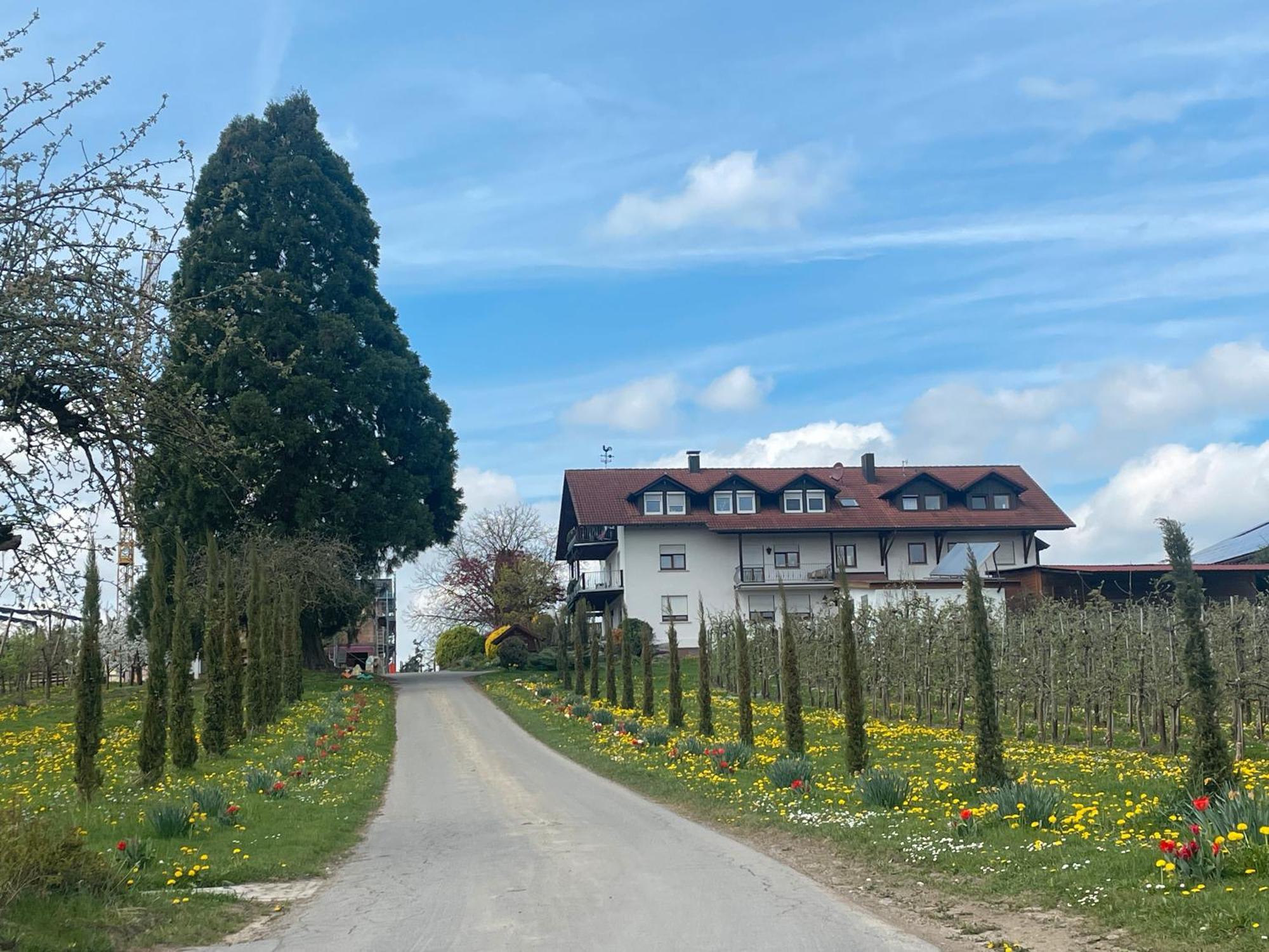 Bergchalet Mirabell - Hofgut Friedrichshafen Ngoại thất bức ảnh